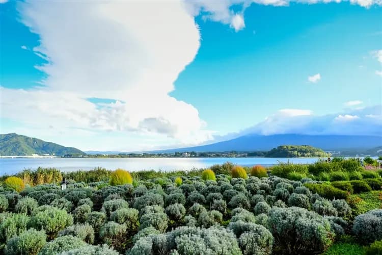 三零深度東京|全程無自理餐.無自費.日光東照宮.華嚴瀑布.水戶偕樂園.輕井澤.箱根富士五湖.里根場合掌村八日|高雄來回-10