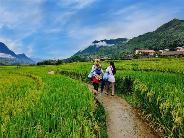 越南旅遊|北越.雲霧沙壩山城.絕美梯田健行.番西邦纜車.夜寢列車體驗六日|台中出發-9