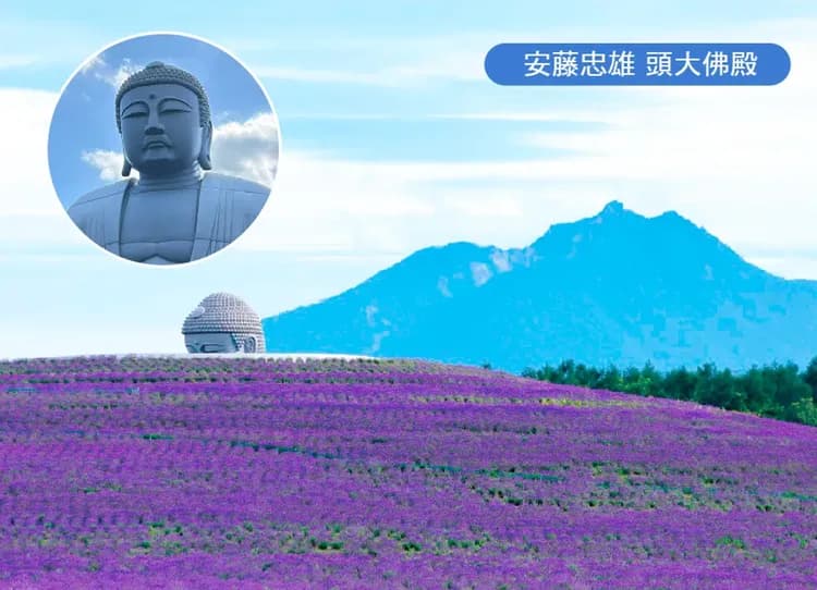 【限時限量】蔚藍北海道5日.積丹半島.美瑛秘境青池.富田農場.四季花田.洞爺湖花火.頭大佛.浪漫小樽-5