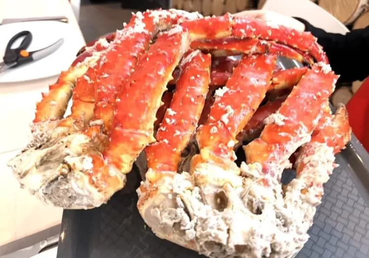 北歐旅遊,挪威旅遊,帝王蟹美食,帝王蟹,希爾克內斯, Kirkenes,帝王蟹之城