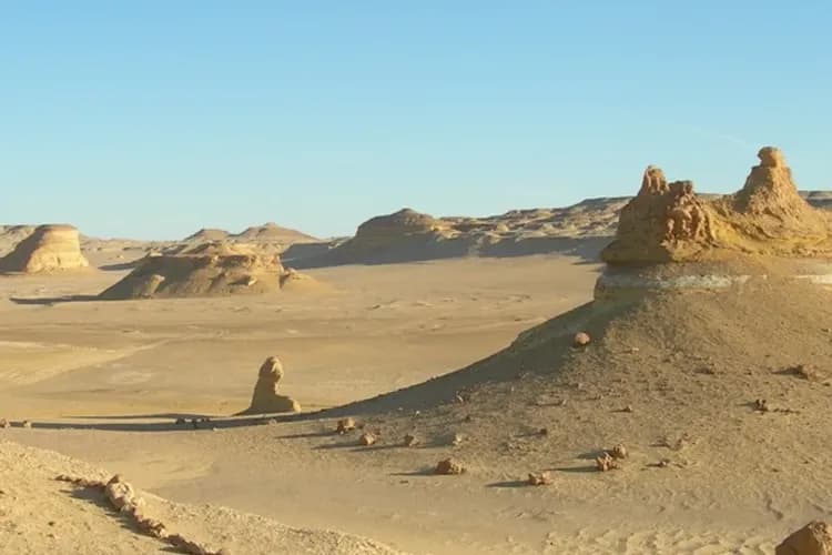 Wadi al-Hitan-埃及最大綠洲