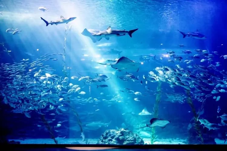 濟州aqua planet水上世界