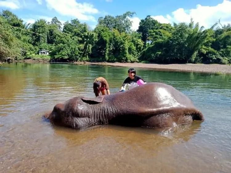 叢林遊蹤三合一(竹筏漂流、騎大象、與象共浴)