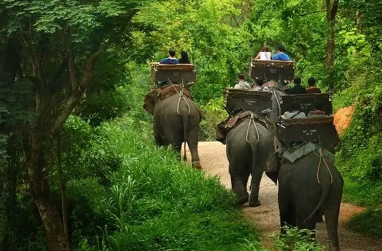 泰享北碧府~賽福瑞動物園、大象叢林遊蹤、安帕瓦螢火蟲、北碧帳篷酒店五日-9