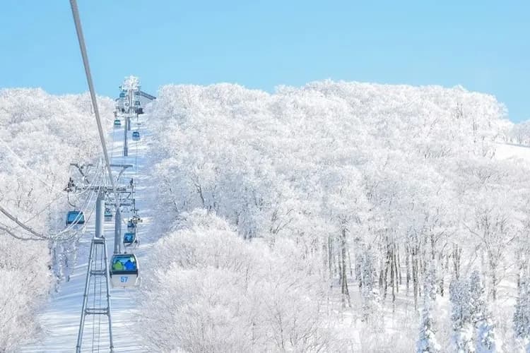 森吉山阿仁樹冰纜車(體驗雪上活動)