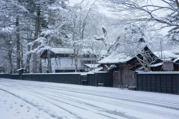 東北雪舞紛飛~森吉山樹冰纜車、猊鼻溪雪見舟、松島銀山溫泉、草莓吃到飽五日-6