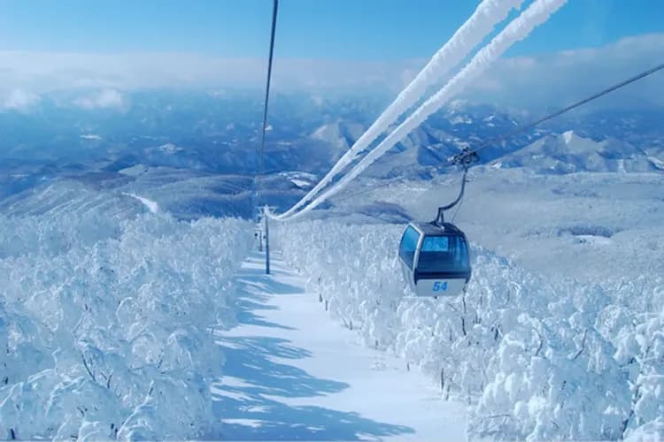 森吉山阿仁樹冰纜車(體驗雪上活動)