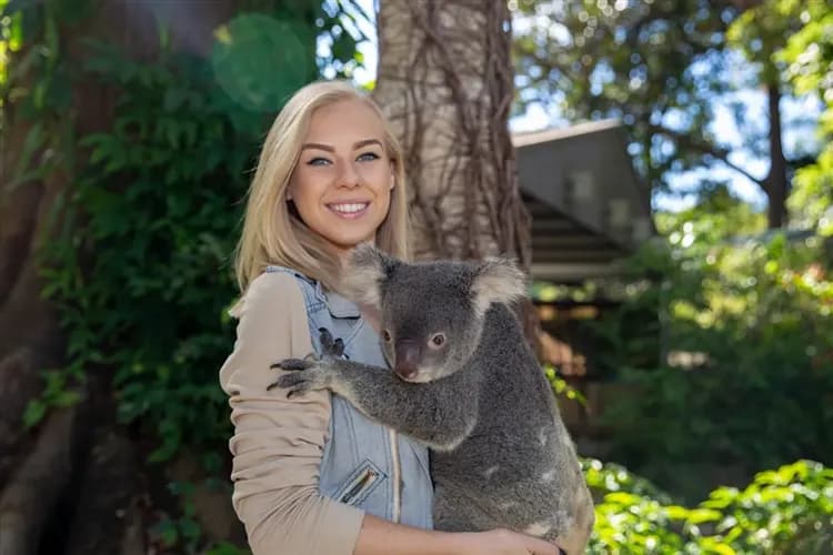 澳洲旅遊|賀歲扣五千|全程五星·墨爾本古董蒸汽火車·神仙小企鵝歸巢·雪梨悠遊藍山·黃金海岸擁抱無尾熊·東澳全覽9日-9