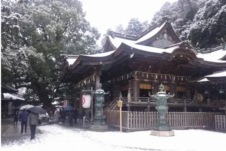 松山四國~松山城纜車、仁淀川屋型船、名園名景漫遊、西島採果樂五日-7