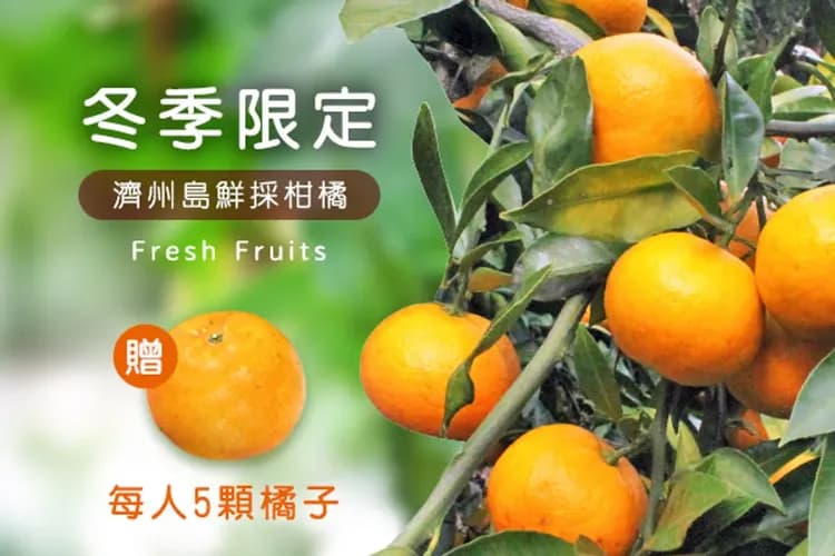 採橘子體驗-冬季限定:採橘子(送每人5顆橘子)