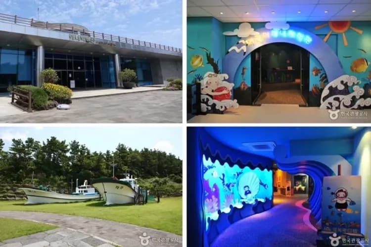 濟州海女博物館-海女博物館:韓劇《苦盡柑來遇見你》拍攝地