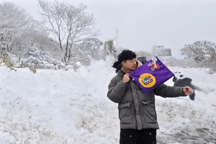 漢拏山1100高地-漢拏山1100高地(秋楓、冬雪)