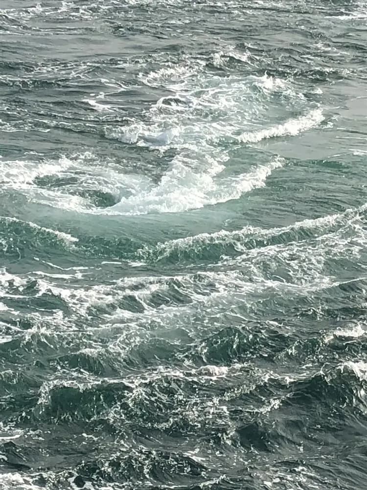 賀歲折3千|四國|阪阪四國秘境~渦之道.小豆島橄欖公園.金刀比羅宮.道後溫泉散策.別子銅山淘金體驗.屋島寺五日|高雄來回-6