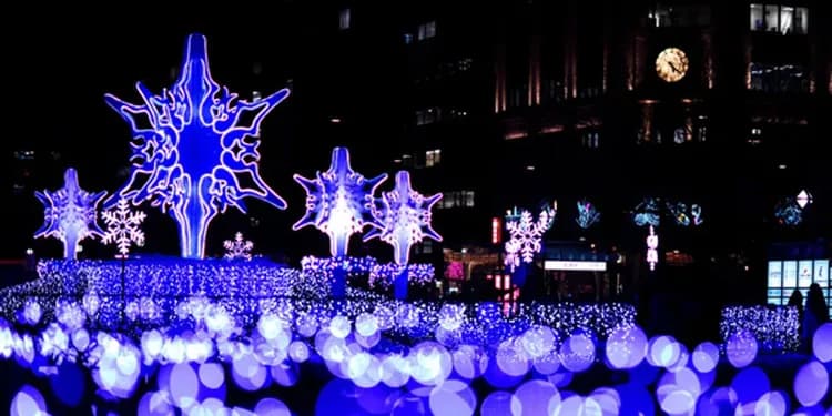 北海道好星情~冬季彩燈節、尼克斯雪樂園、三大蟹三溫泉、森之庭渡假村五日-7