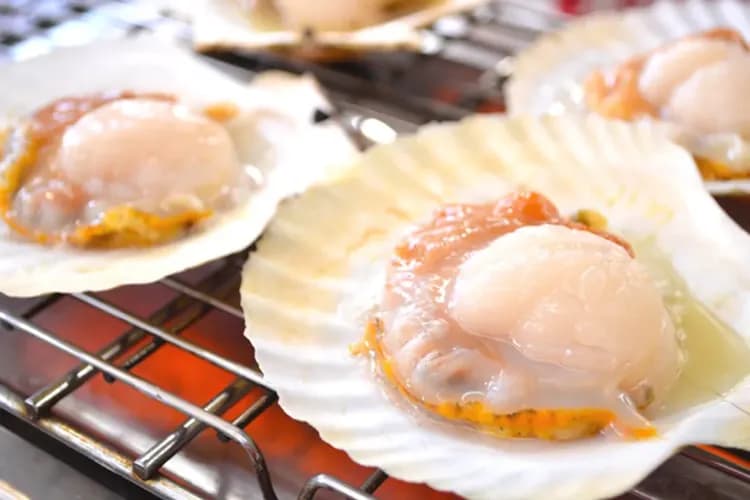 釣花枝體驗(品嚐花枝生魚片)