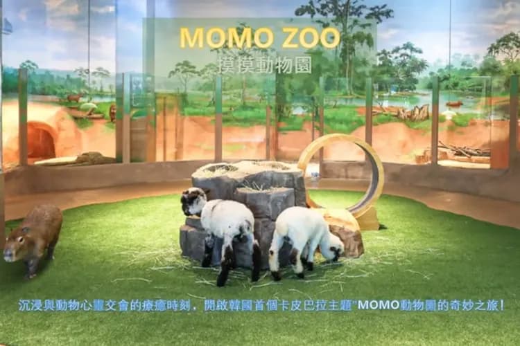 神話世界主題樂園MOMO ZOO(摸摸動物園)-神話世界(門票三項券+韓服體驗+MOMO ZOO)