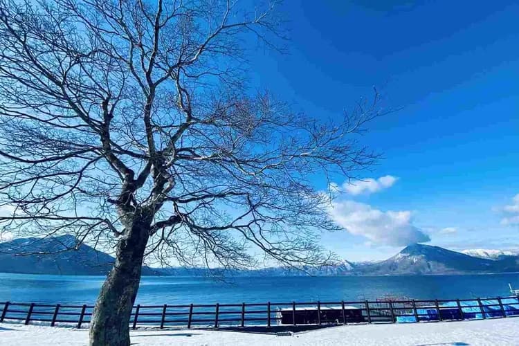 写真提供:CITY OF SAPPORO/禁止轉載-北國自然景觀