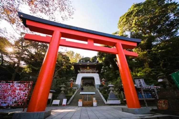 KHH東京櫻花戀~日本櫻花百選、迪士尼樂園、鐮倉古都江之島、淺草觀音寺五日-9