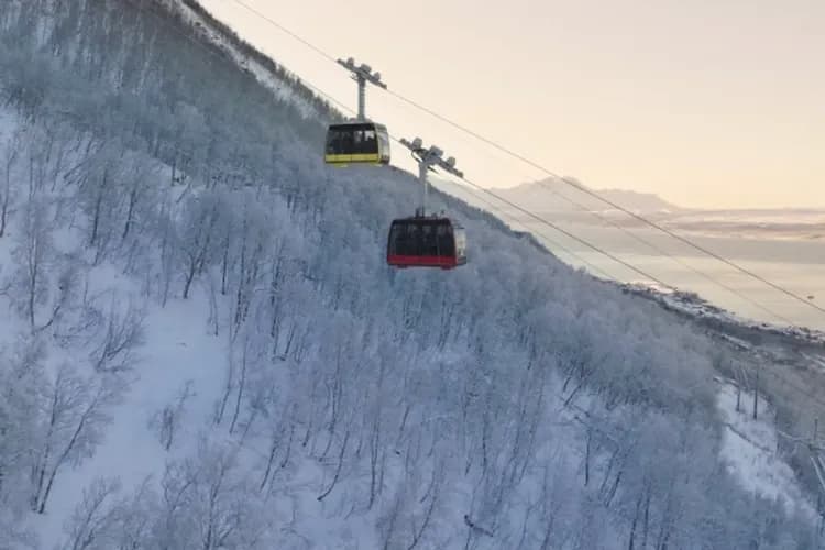 Tromsø Fjellheisen(官網授權使用)-特羅姆瑟