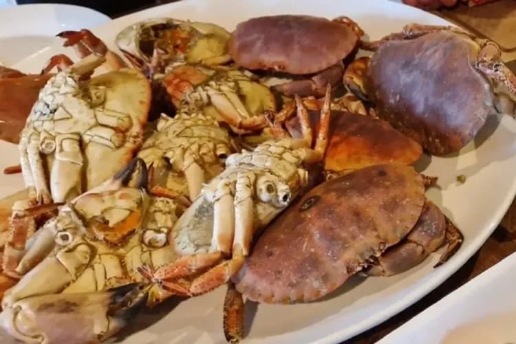 捕蟹之旅-北極圈捕蟹之旅(搭乘皮艇)