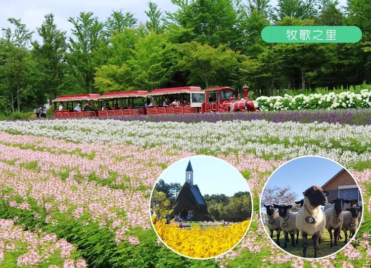 【第二人折兩千】北陸立山黑部雙溫泉6日.保住希爾頓.牧歌之里花海.白川鄉合掌村.兼六園.採果樂.秘境上高地.螃蟹吃到飽-10