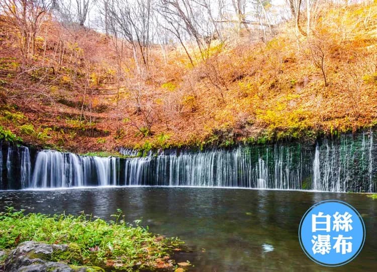 【關東物語】北關東雙溫泉5日.世界遺產日光東照宮.‧華嚴瀑布.漫步輕井澤.採果樂.晴空塔-6