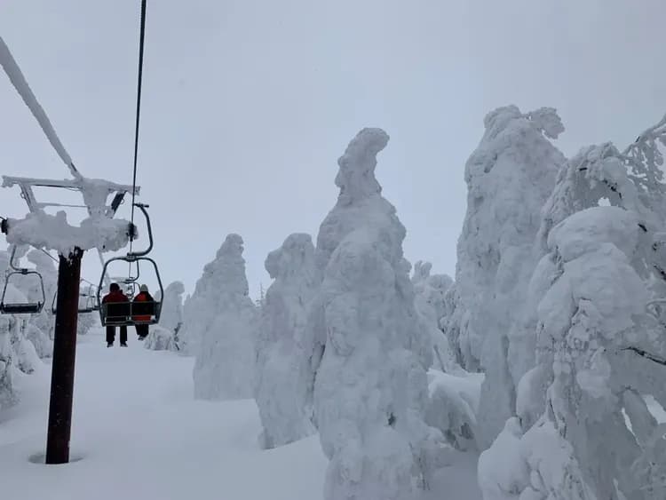 藏王樹冰纜車(冬季樹冰+雪盆體驗)