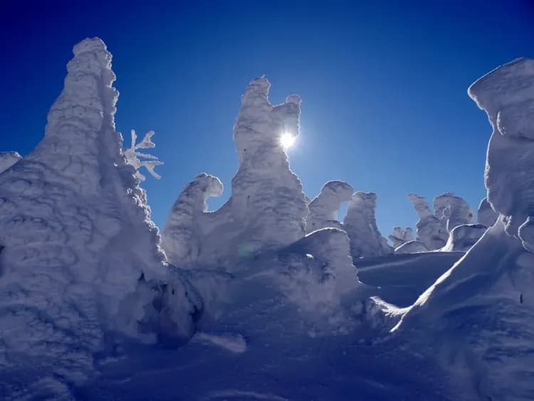 藏王樹冰纜車(冬季樹冰+雪盆體驗)