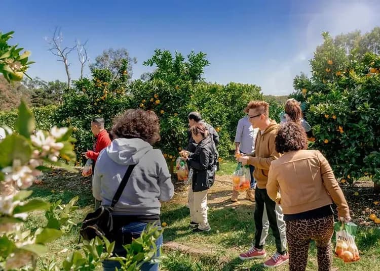 雷納果園(採果+拖拉機體驗)