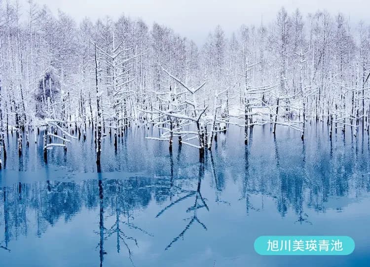 冬雪北海道四溫泉7日.獨木舟雪漂流.火腿體育村.雪上7合1.企鵝遊行.函館山纜車.札幌燈節.奶酪體驗.三大螃蟹吃到飽-7