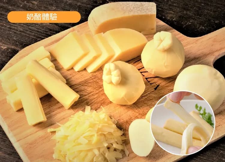 冬雪北海道四溫泉7日.獨木舟雪漂流.火腿體育村.雪上7合1.企鵝遊行.函館山纜車.札幌燈節.奶酪體驗.三大螃蟹吃到飽-8