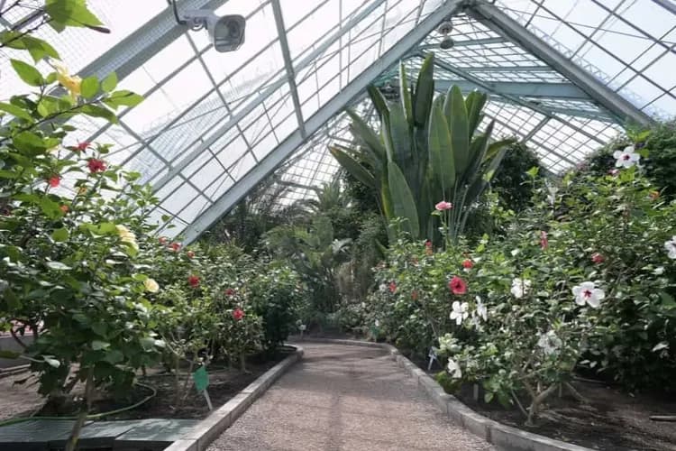 函館熱帶植物園 官網提供-兩大園區景點
