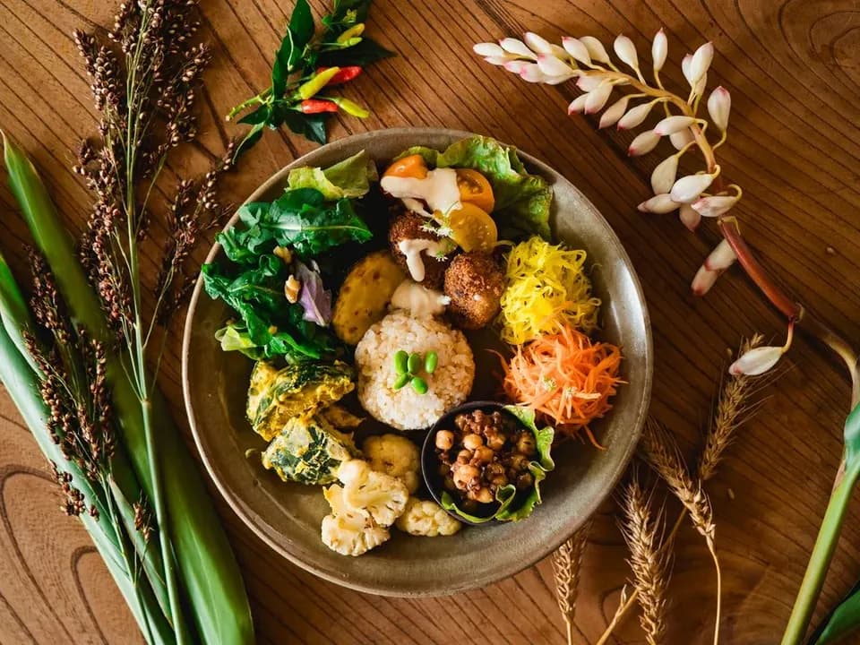 【竹富島深度文化遊】跟著在地嚮導漫步傳統聚落&品嚐特色「命草」純素料理