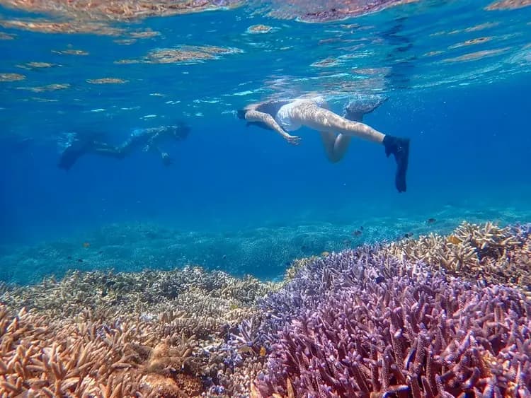 【石垣島一日遊】幻影島 & 藍洞浮潛體驗|含專業教練指導-10