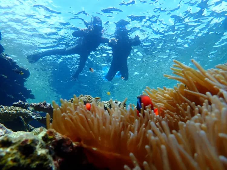 【石垣島一日遊】幻影島登陸、川平灣獨木舟 & 珊瑚礁浮潛-11