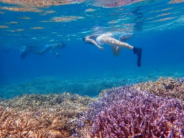 【石垣島一日遊】幻影島登陸、川平灣獨木舟 & 珊瑚礁浮潛-10