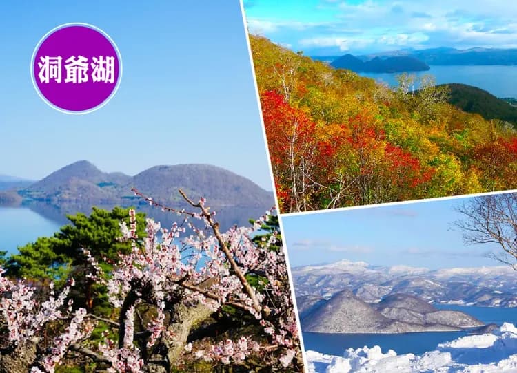 酷航北海道函館百萬夜景三溫泉6日.尼克斯企鵝.小樽運河.螃蟹美食.熊牧場.函館朝市-9