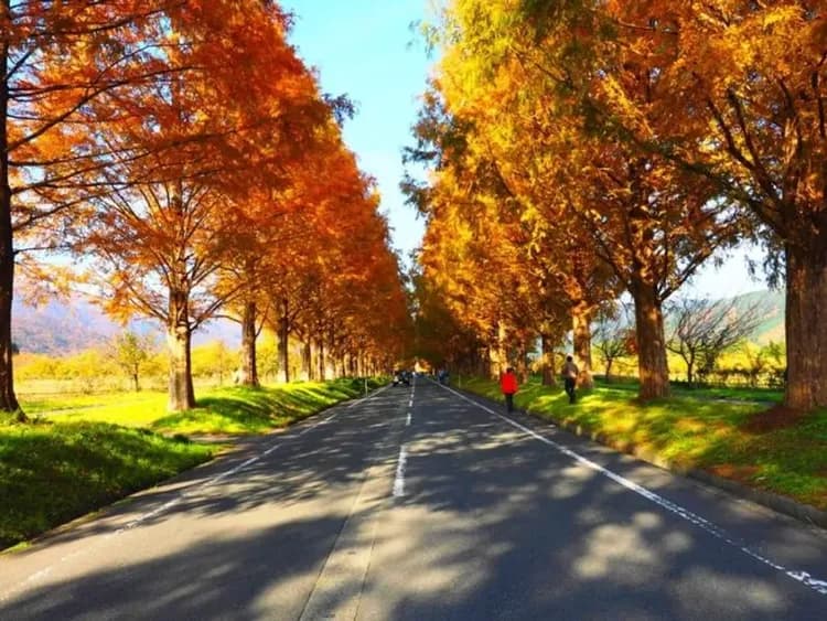 普吉島團體旅遊