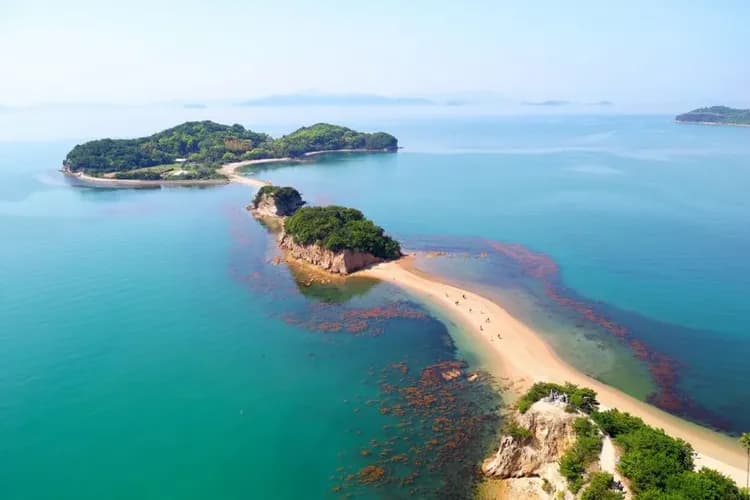 TXG四國感蟹季~魔女小豆島、大步危遊覽船、名園名景漫遊、賞味溫泉美饌五日-9