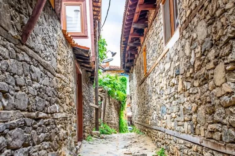 朱馬勒克茲克小鎮-朱馬勒克茲克小鎮(2014年被列入世界文化遺產)