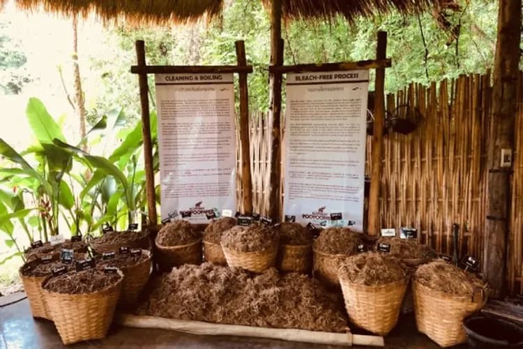 大象環保紙世界