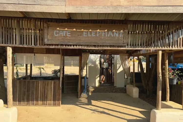 湄登大象咖啡廳