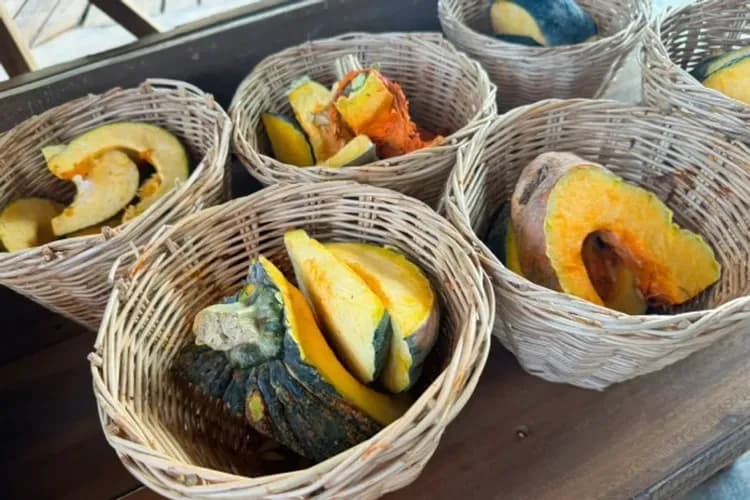 湄登大象咖啡廳