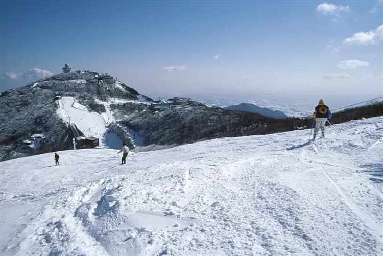 冬遊大阪北陸旅遊│御在所纜車樹冰.夢幻合掌村.高山古街散策.國寶犬山城.採草莓.戲雪四日|高雄來回-5