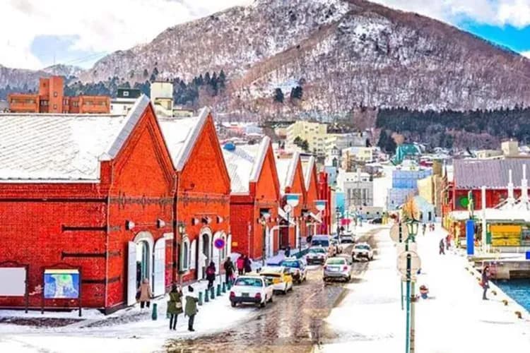 北海道雪星情~冬季彩燈節、尼克斯戲雪樂、三大蟹三溫泉、森之庭渡假村五日-8