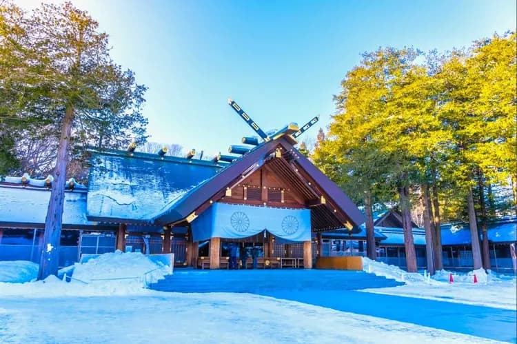 北海道雪星情~冬季彩燈節、尼克斯戲雪樂、三大蟹三溫泉、森之庭渡假村五日-6