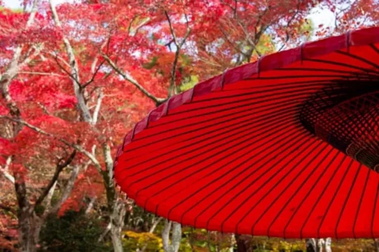 關西感蟹季~愛戀四都風情、嵐山故事旅行、日式溫泉旅館、長腳蟹吃到飽六日-10