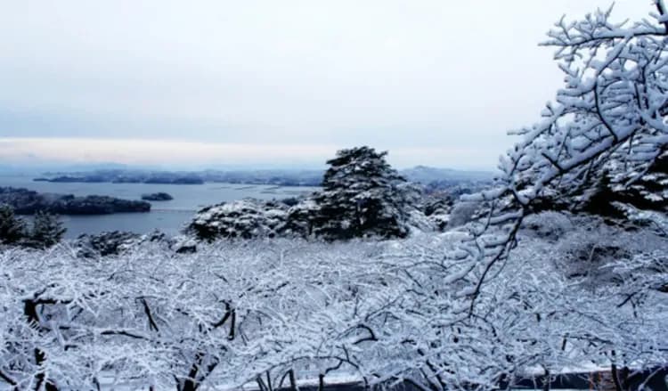松島灣遊覽船(日本三景)