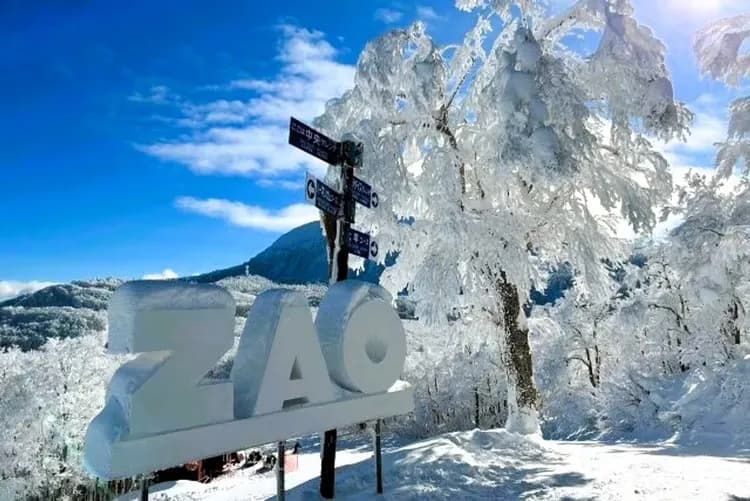 藏王中央纜車(冬季限定霧冰)