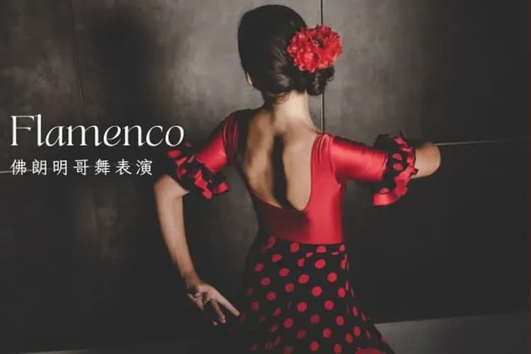 佛朗明哥舞表演-賽維亞-安達魯西亞的靈魂之城